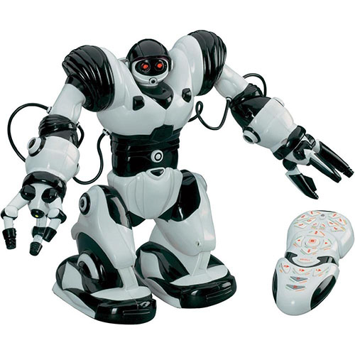2003: RoboSapiens