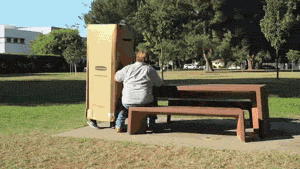 18 Hilarious Prank GIFs You Might Feel Bad For Laughing At