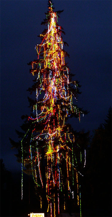 Christmas Treasures Home of the World's Tallest Lighted Christmas Tree Over 50,000 LED Lights