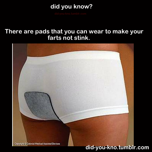 Did You Know? Double edition Part 1