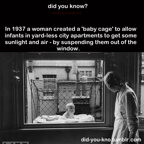 Did You Know? Double edition Part 1