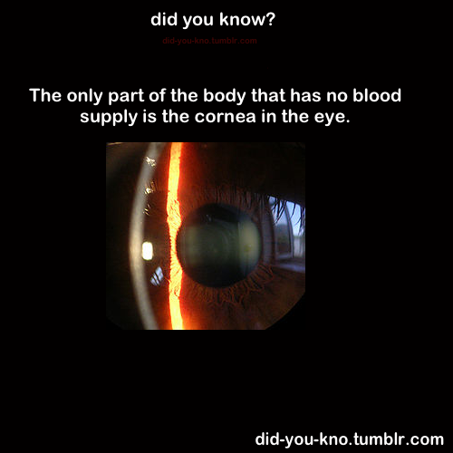 Did You Know? Double edition Part 1