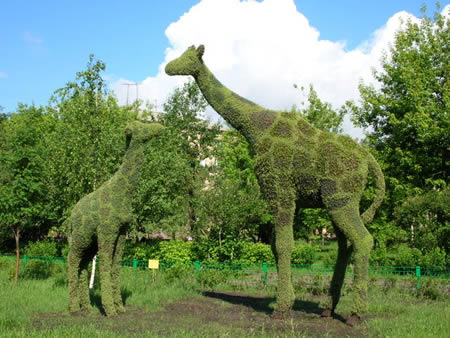 Amazing Grass Sculptures