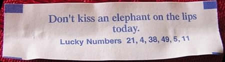 Funny Fortune Cookies