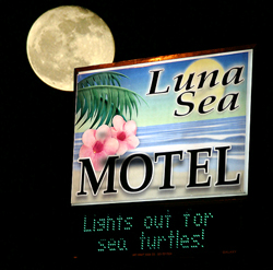 store name pun graphics - Luna Sea Motel