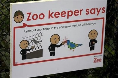 How To Behave In Zoo
