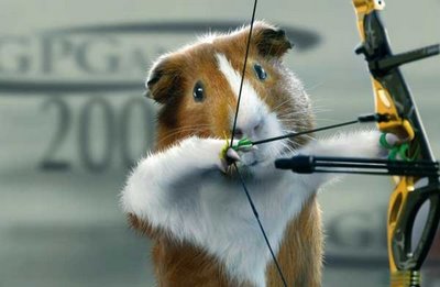 Hamster Olympics