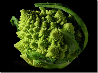 alien broccoli