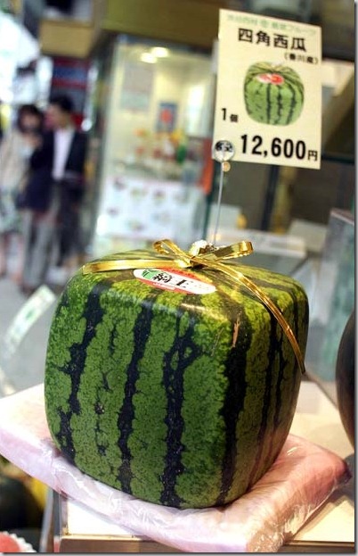 squar watermelon