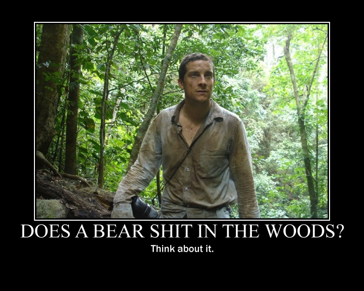 The does a in sayings woods bear shit like Is the