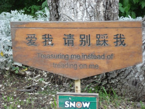 Funny Signs - From China