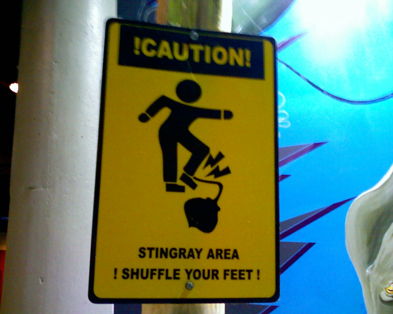 Maybe Steve Irwin could have used this sign!