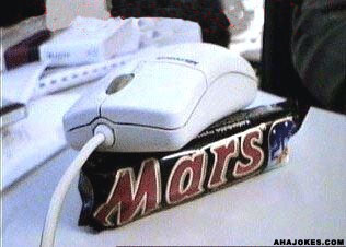 A look at the first mouse on mars.