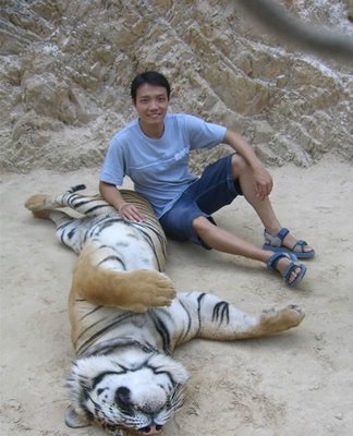 Tiger Petting Zoo