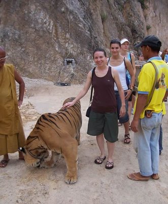 Tiger Petting Zoo