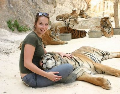 Tiger Petting Zoo