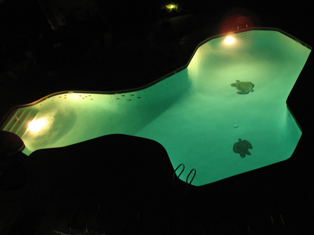 Amazing and Weird Swimming Pools