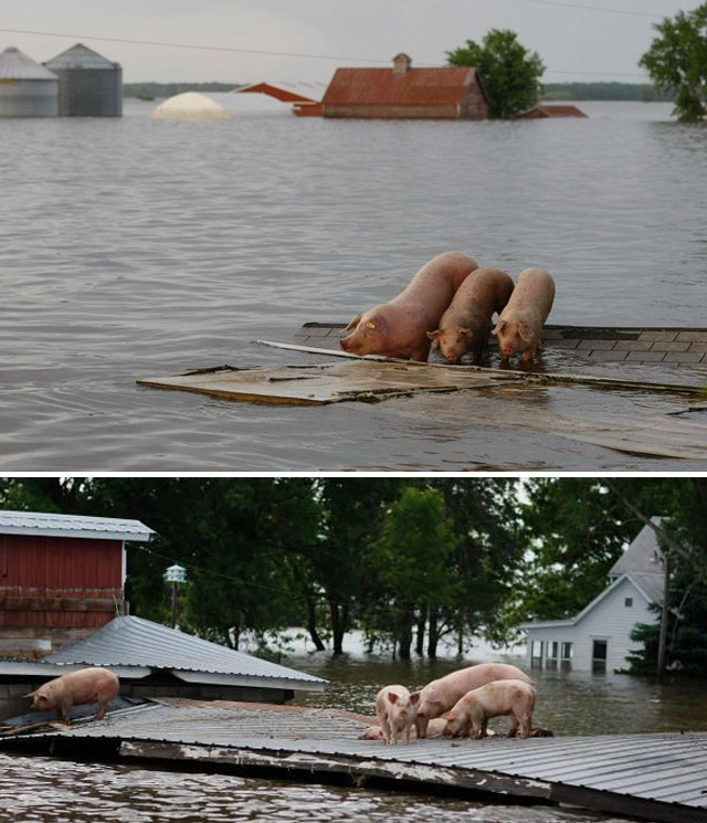 Amazing flood images
