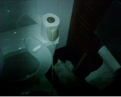 Guy pisses on toilet paper rolls