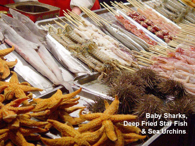 food served at the beijing olympics - Baby Sharks, Deep Fried Star Fish & Sea Urchins.