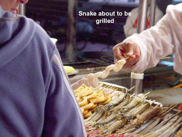 Chinese cuisine - Snake about to be grilled