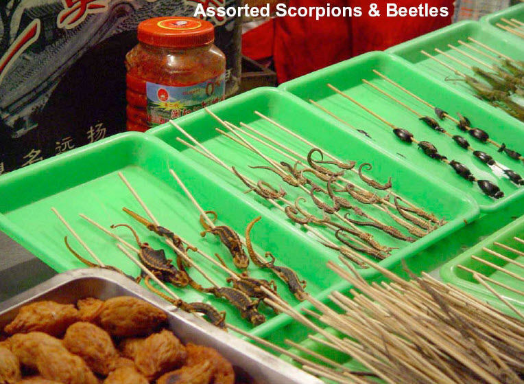 cooked newt - Assorted Scorpions & Beetles