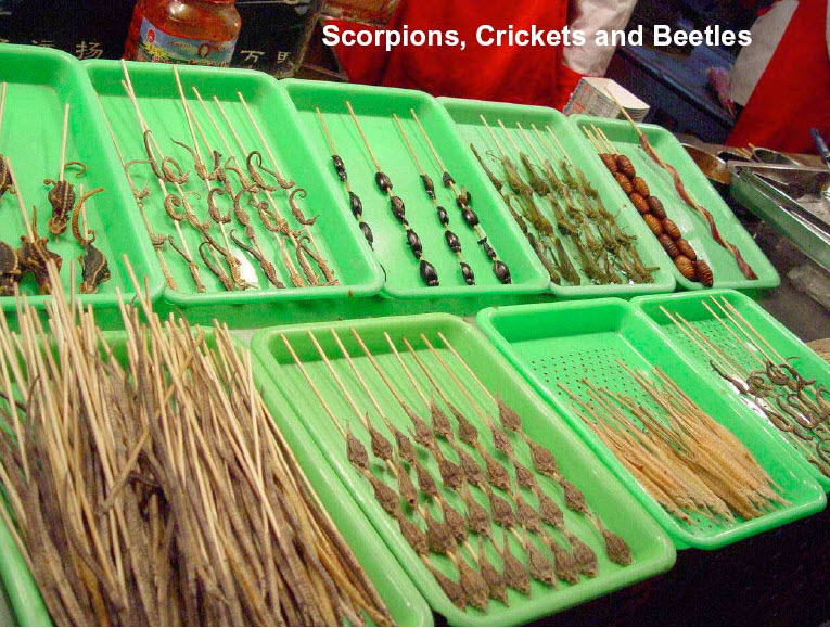 food at beijing olympics - Scorpions, Crickets and Beetles We