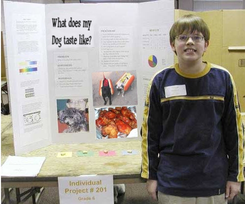 Weird high school science fair projects