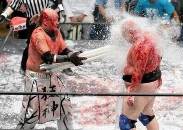Extreme Japanese Wrestlers