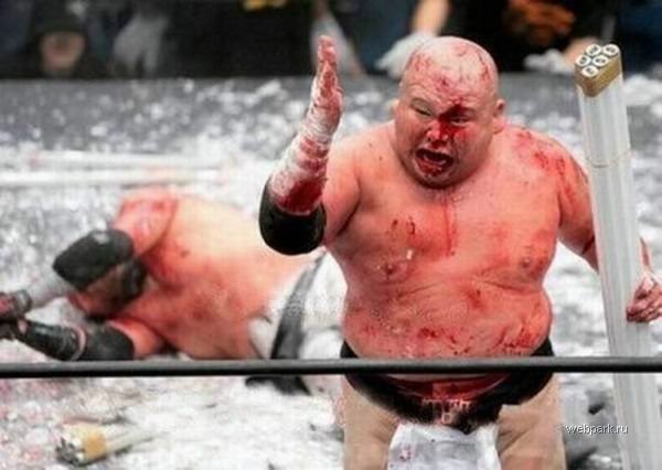 Extreme Japanese Wrestlers