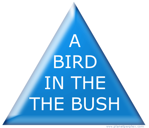 Read out loud the text inside the triangle below. More than likely you said, 'A bird in the bush,'! and. .......If this IS what YOU said, then you failed to see that the word THE is repeated twice!  