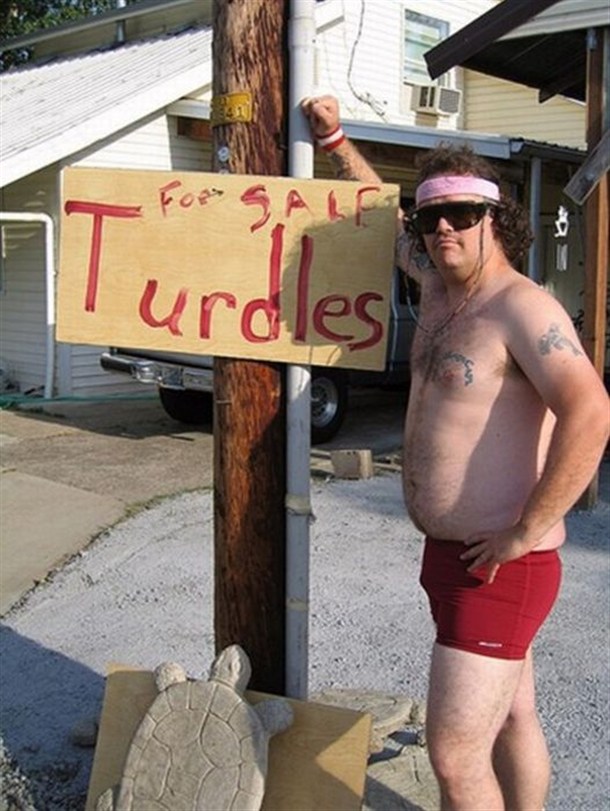I like turdles.