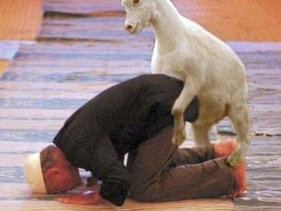 It sucks to have pet goats around during prayer time! LOL