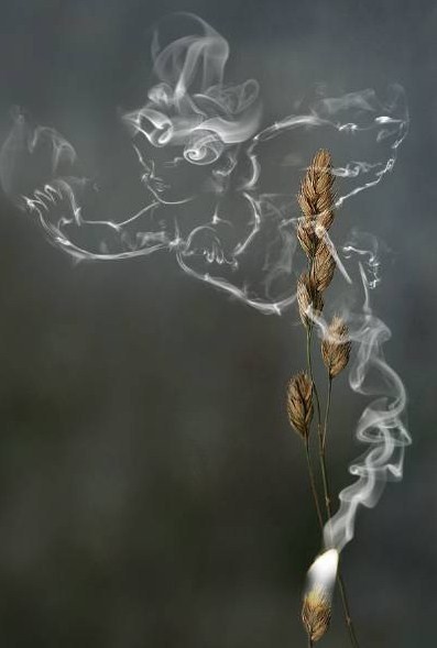 The art of Smoking