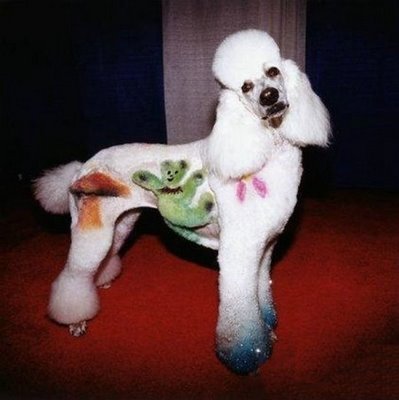 Crazy Poodle Haircuts