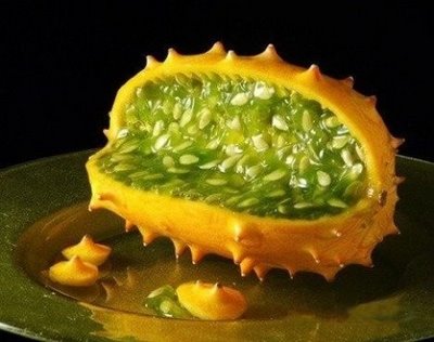 Kiwano Melon