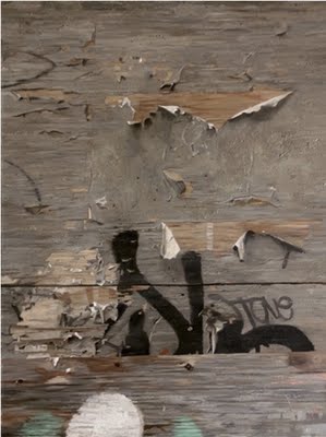Graffiti and Wood Peeling - David Kassan
