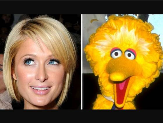 Paris Hilton shares similar features with a certain Sesame Street bird