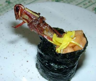 Delicious Insect Sushi
