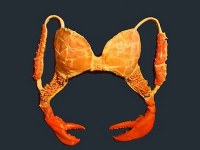 Funny and Unusual bras