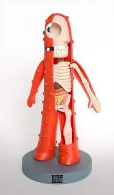 Anatomy Toys by Jason Freeny
