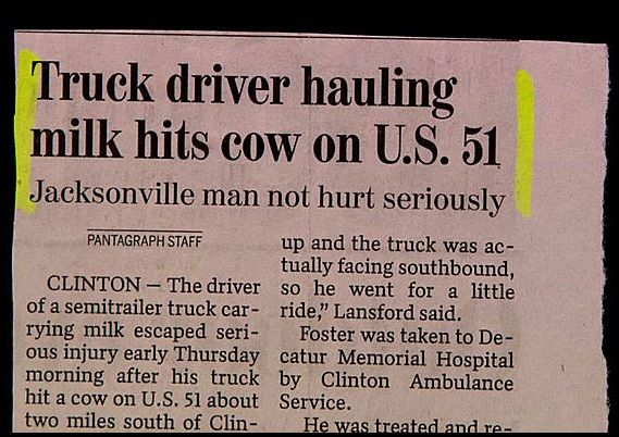 Ironic ...................poor cow