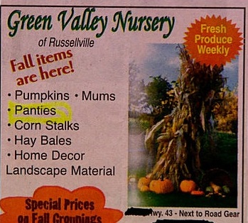 Get your pumpkins here and panties?