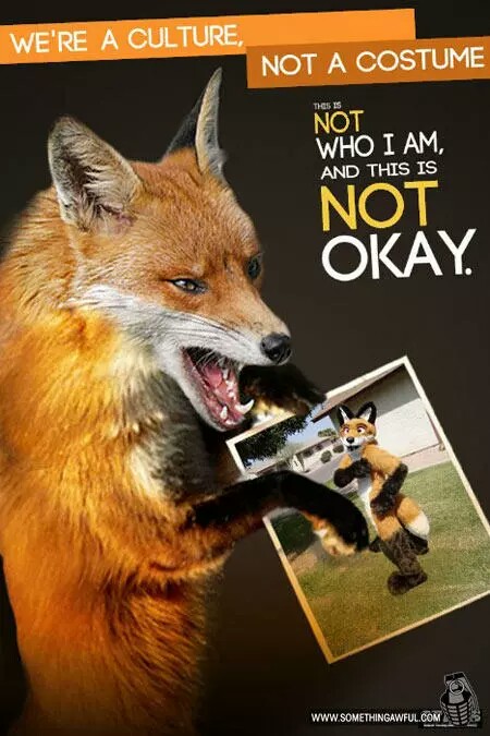 Foxes don't represent Furries Dammit!