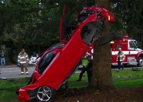 Cars Can't Climb Trees