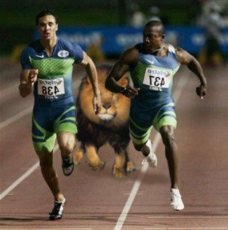 Lion Sprint