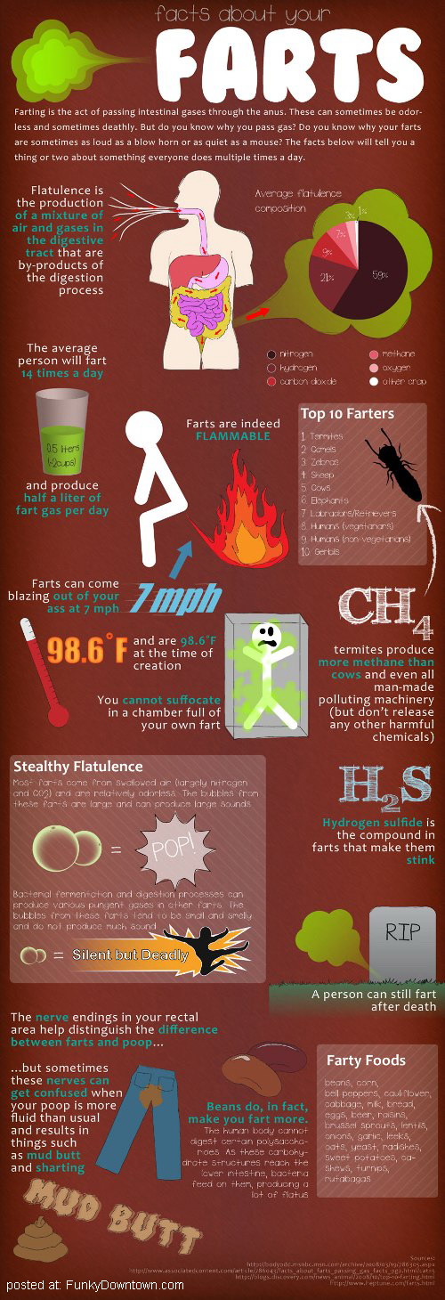 Everything you need to know about farts.