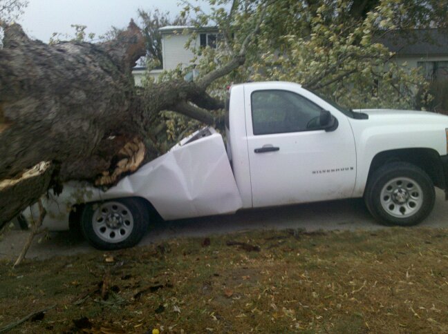 Probably should about cutting the tree up before trying to haul it.