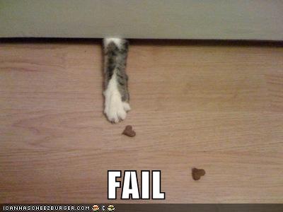 Cat Fails
