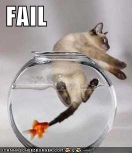 Cat Fails